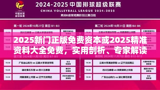 2025新门正版免费资本或2025精准资料大全免费，实用剖析、专家解读解释与落实?
