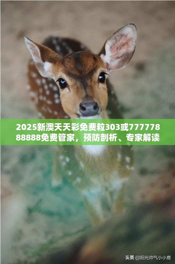 榴石 第6页