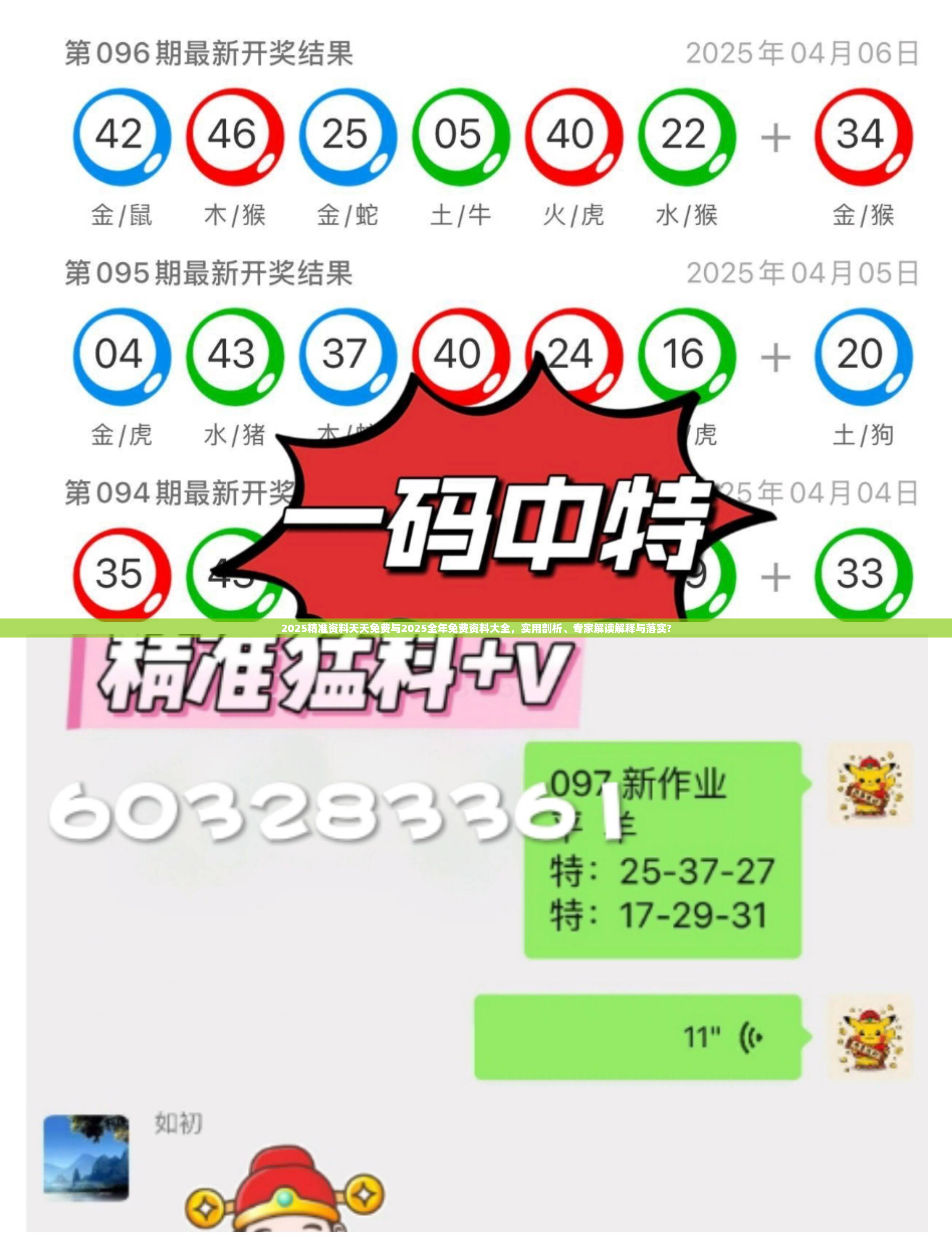 2025精准资料天天免费与2025全年免费资料大全，实用剖析、专家解读解释与落实?