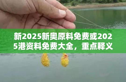 新2025新奥原料免费或2025港资料免费大全，重点释义、解释与落实,警惕不实的钓鱼钩