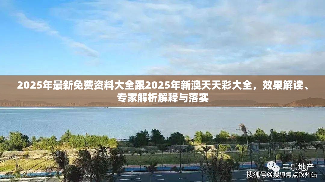 2025年最新免费资料大全跟2025年新澳天天彩大全，效果解读、专家解析解释与落实