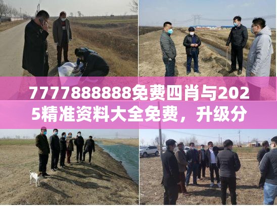 7777888888免费四肖与2025精准资料大全免费，升级分析、专家解读解释与落实,谨防华而不实包装