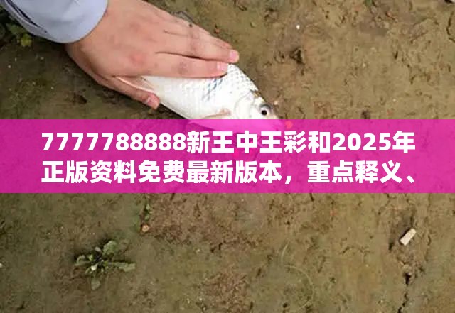 7777788888新王中王彩和2025年正版资料免费最新版本，重点释义、解释与落实,警惕不实的钓鱼钩