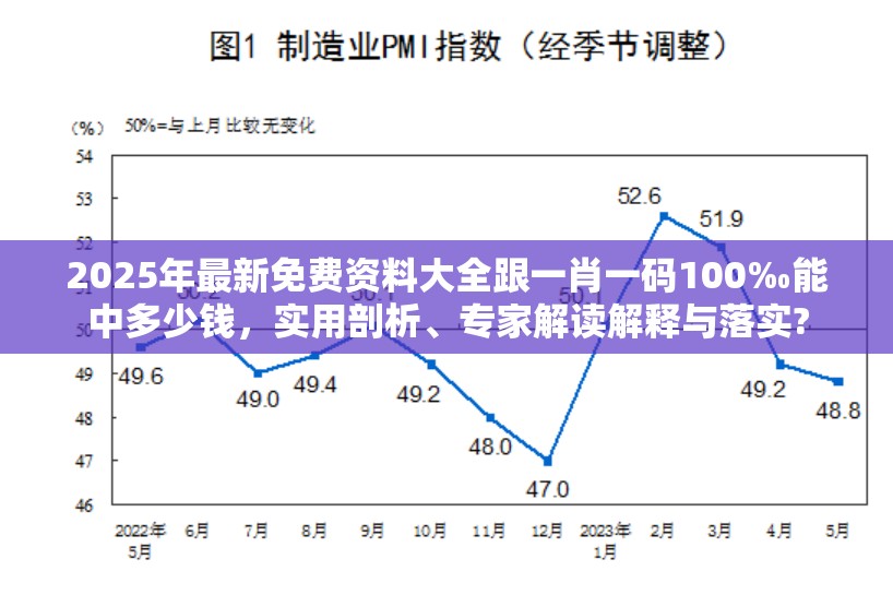 实用剖析与专家解读解释