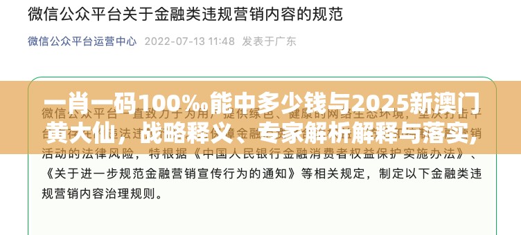 一肖一码100‰能中多少钱与2025新澳门黄大仙，战略释义、专家解析解释与落实,留心欺诈性营销